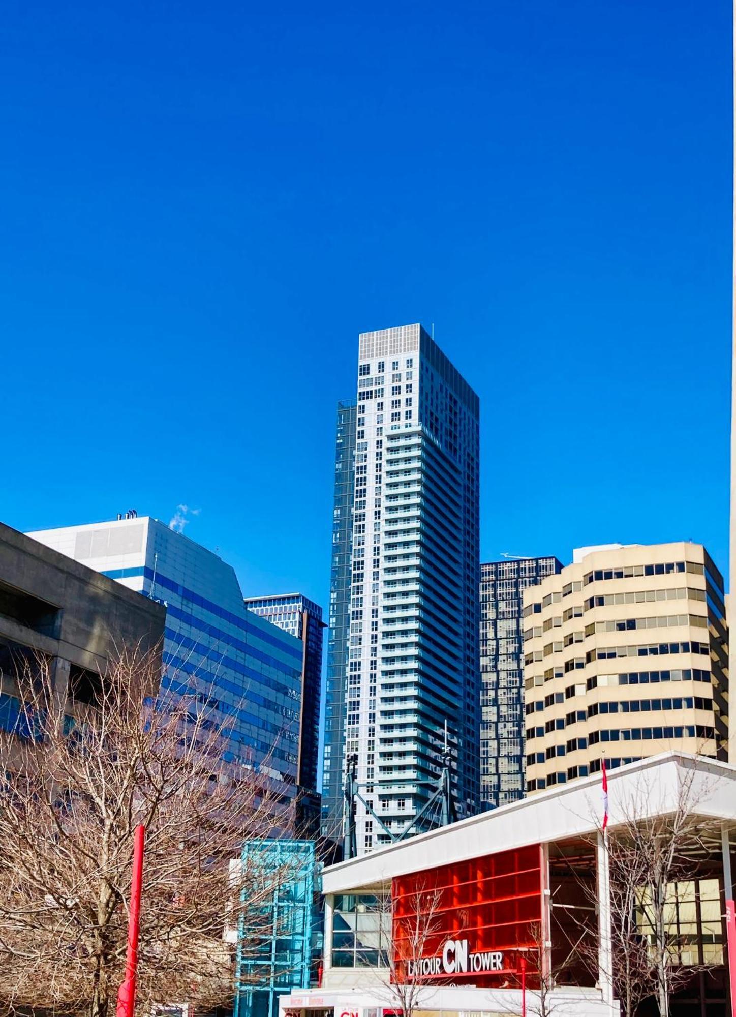 Central Toronto Suite - Free Parking, City Views, Near Cn Tower Εξωτερικό φωτογραφία